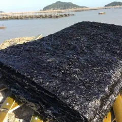 苍南紫菜干货500g克一斤免洗散装海苔紫菜蛋花汤食堂头水即食无沙